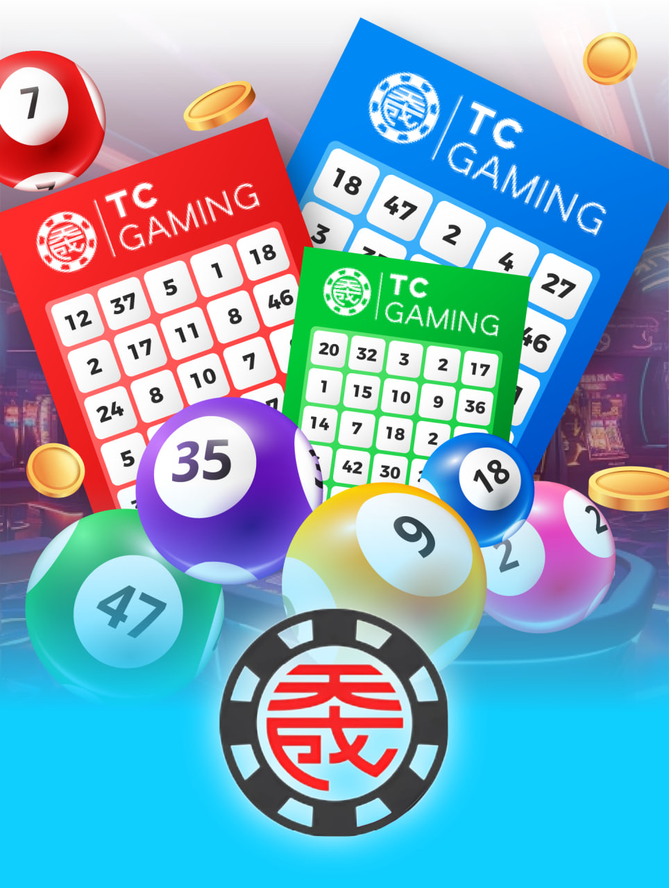 Ảnh 5